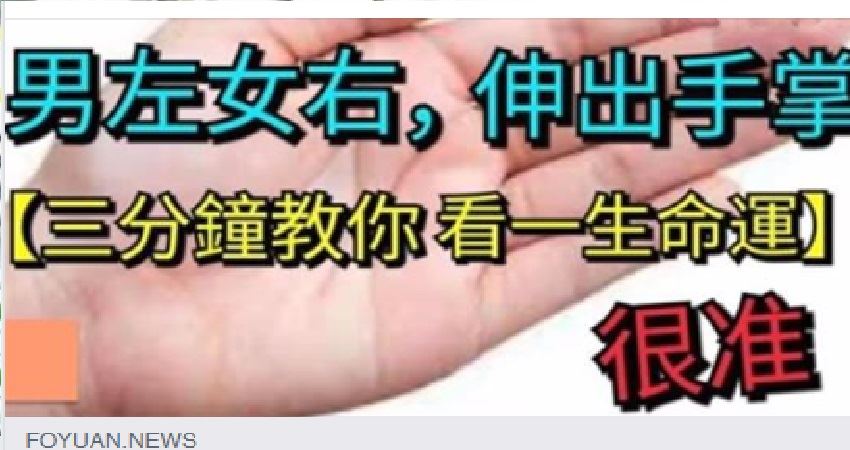 男左女右,伸出手掌【三分钟教你看一生命运】很准
