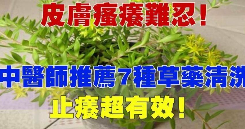 中医师推荐这7种草药清洗,非常有效哦