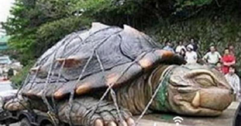 有一天,渔夫们用网子抓到了一只大乌龟,准备要杀掉,卖它的